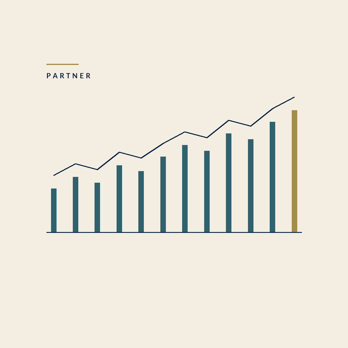Partner, Monthly Financial Advisory, Budget Express Consulting