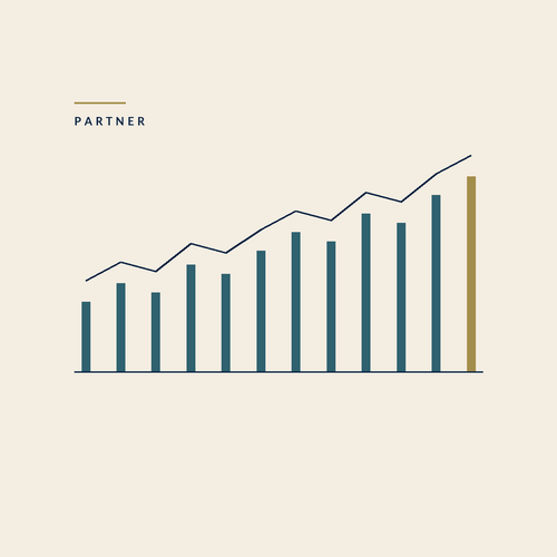 Partner, Monthly Financial Advisory, Budget Express Consulting